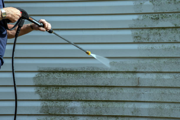 Best Affordable Pressure Washing  in Altoona, WI