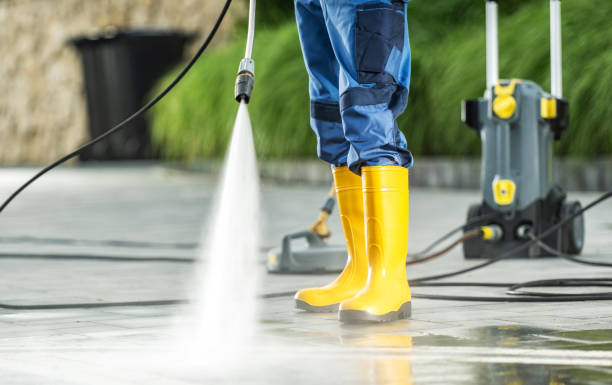 Best Exterior Home Cleaning  in Altoona, WI