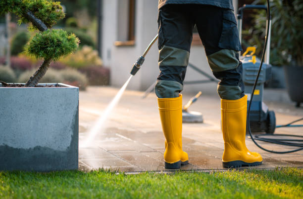 Best Deck Cleaning Services  in Altoona, WI